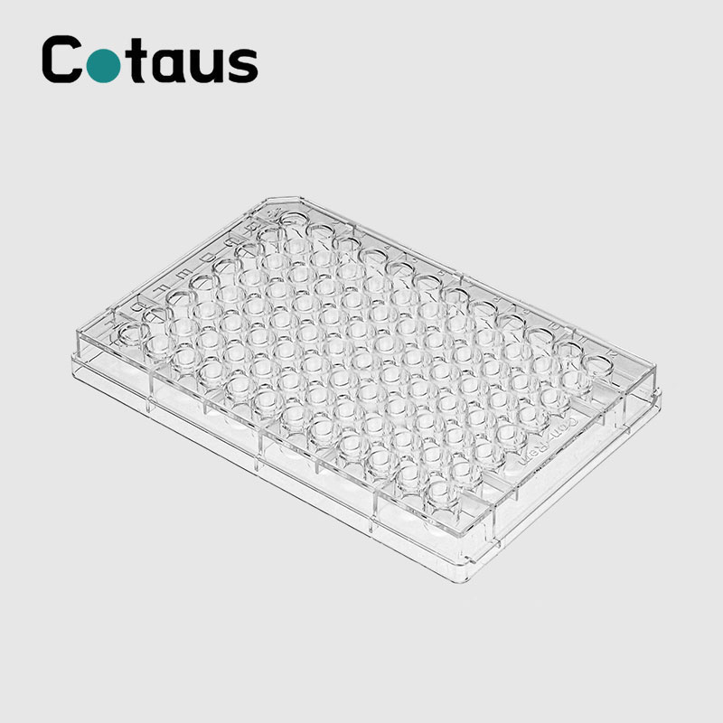 Prezantimi i Elisa Plate