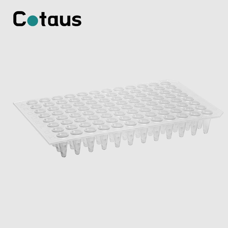 96 Pus 0.2ml PCR Transparente pa fund